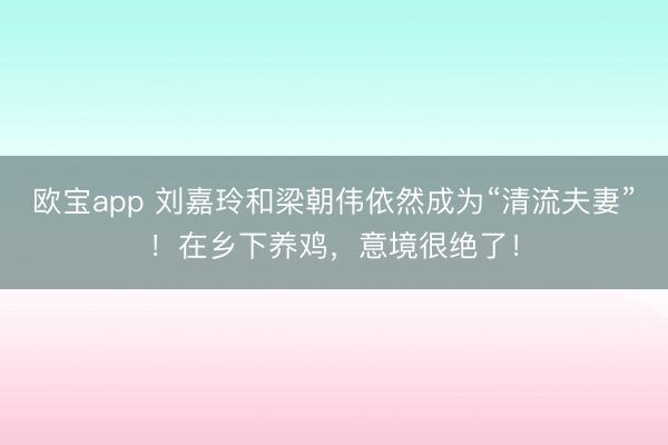 欧宝app 刘嘉玲和梁朝伟依然成为“清流夫妻”！在乡下养鸡，意境很绝了！