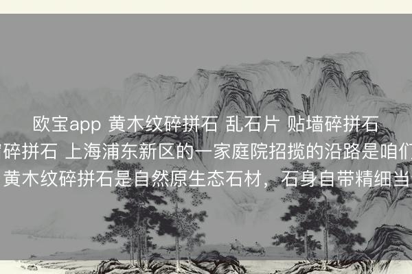 欧宝app 黄木纹碎拼石 乱石片 贴墙碎拼石 别墅外墙碎拼石 民宿碎拼石 上海浦东新区的一家庭院招揽的沿路是咱们出产的黄木纹碎拼石，黄木纹碎拼石是自然原生态石材，石身自带精细当然的黄木纹肌理，纹路领路眉目分明，光辉温润柔软，<a href=