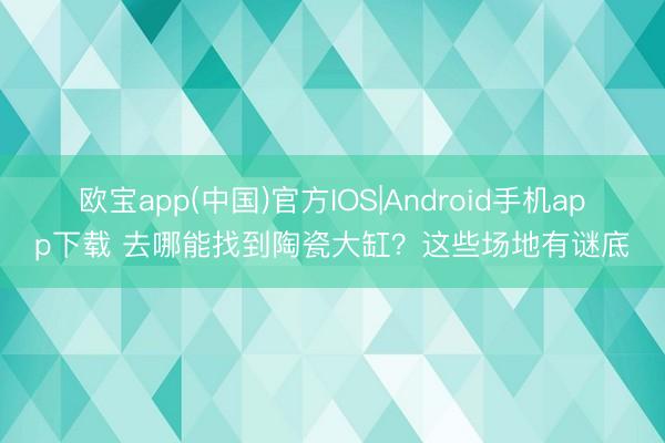 欧宝app(中国)官方IOS|Android手机app下载 去哪能找到陶瓷大缸?这些场地有谜底