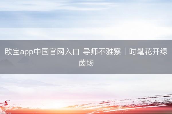 欧宝app中国官网入口 导师不雅察｜时髦花开绿茵场