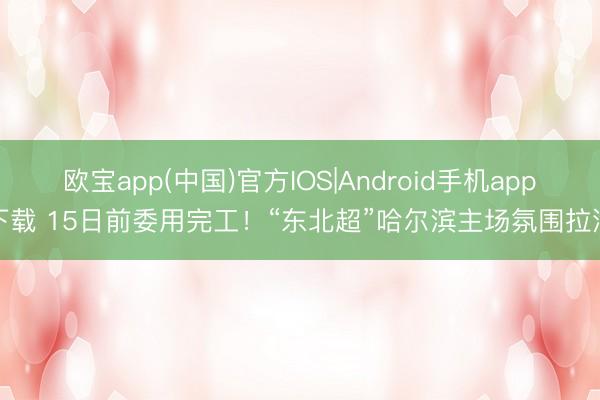 欧宝app(中国)官方IOS|Android手机app下载 15日前委用完工！“东北超”哈尔滨主场氛围拉满
