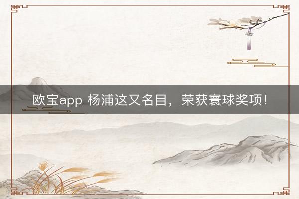 欧宝app 杨浦这又名目，荣获寰球奖项！