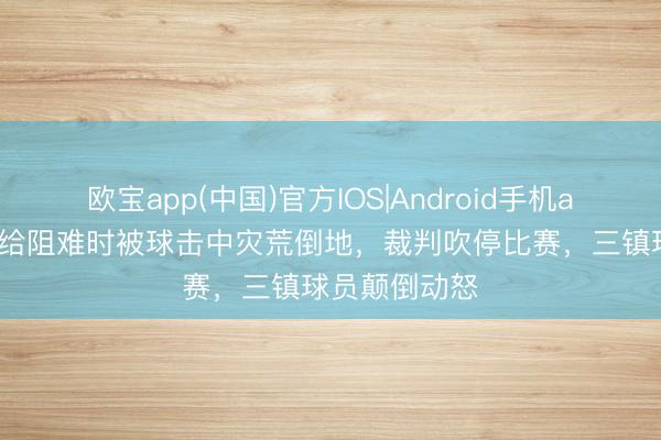 欧宝app(中国)官方IOS|Android手机app下载 钱杰给阻难时被球击中灾荒倒地，裁判吹停比赛，三镇球员颠倒动怒