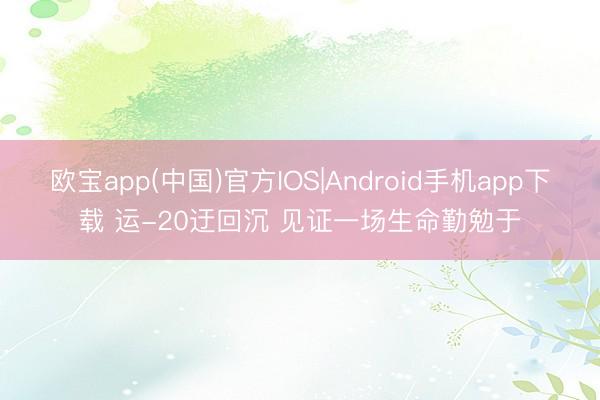 欧宝app(中国)官方IOS|Android手机app下载 运-20迂回沉 见证一场生命勤勉于