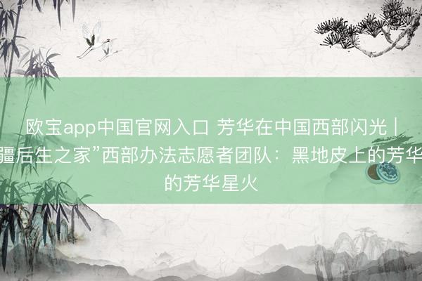 欧宝app中国官网入口 芳华在中国西部闪光 | “荣疆后生之家”西部办法志愿者团队：黑地皮上的芳华星火