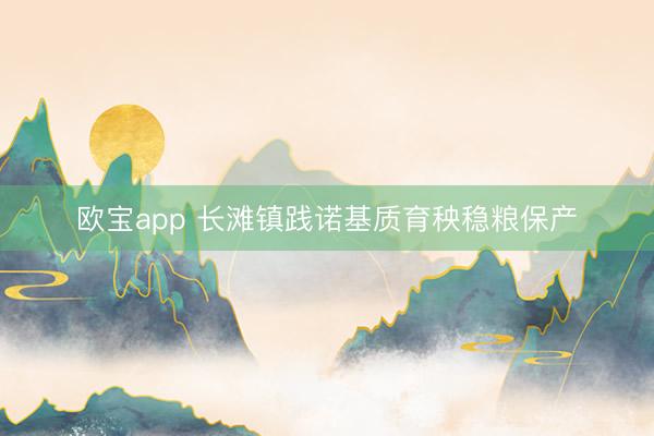 欧宝app 长滩镇践诺基质育秧稳粮保产
