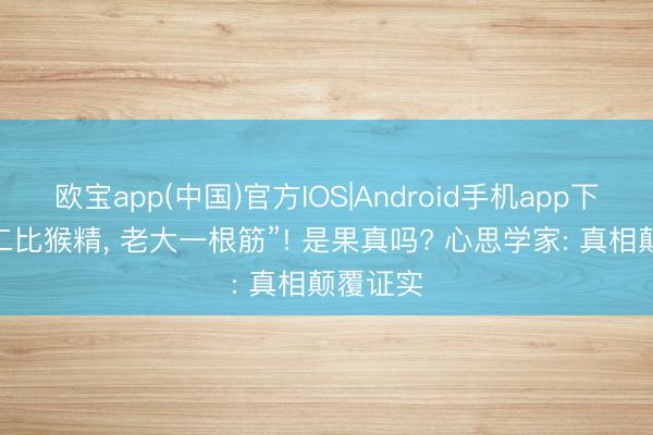 欧宝app(中国)官方IOS|Android手机app下载 “老二比猴精， 老大一根筋”! 是果真吗? 心思学家: 真相颠覆证实