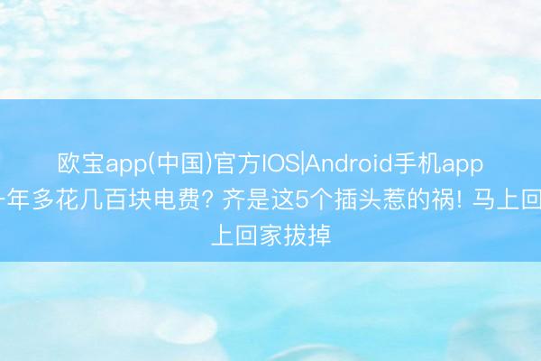 欧宝app(中国)官方IOS|Android手机app下载 一年多花几百块电费? 齐是这5个插头惹的祸! 马上回家拔掉