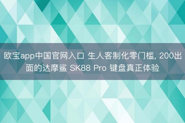 欧宝app中国官网入口 生人客制化零门槛， 200出面的达摩鲨 SK88 Pro 键盘真正体验