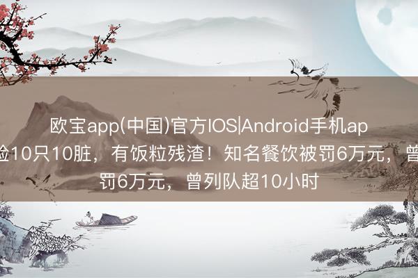 欧宝app(中国)官方IOS|Android手机app下载 盘子抽检10只10脏，有饭粒残渣！知名餐饮被罚6万元，曾列队超10小时