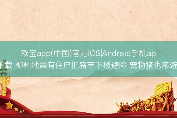 欧宝app(中国)官方IOS|Android手机app下载 柳州地震有住户把猪带下楼避险 宠物猪也来避险