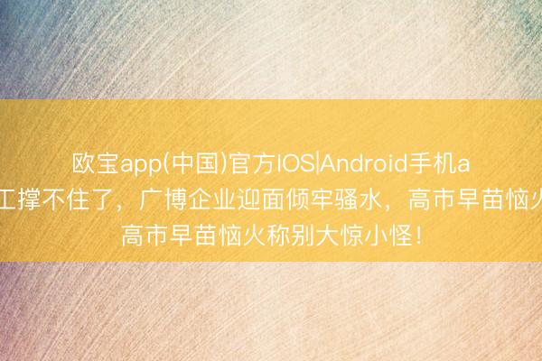 欧宝app(中国)官方IOS|Android手机app下载 日本化工撑不住了，广博企业迎面倾牢骚水，高市早苗恼火称别大惊小怪！