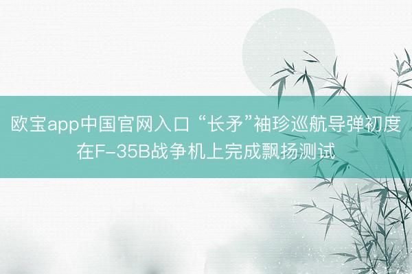 欧宝app中国官网入口 “长矛”袖珍巡航导弹初度在F-35B战争机上完成飘扬测试