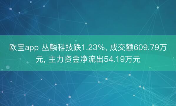 欧宝app 丛麟科技跌1.23%， 成交额609.79万元， 主力资金净流出54.19万元