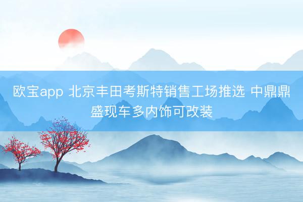 欧宝app 北京丰田考斯特销售工场推选 中鼎鼎盛现车多内饰可改装