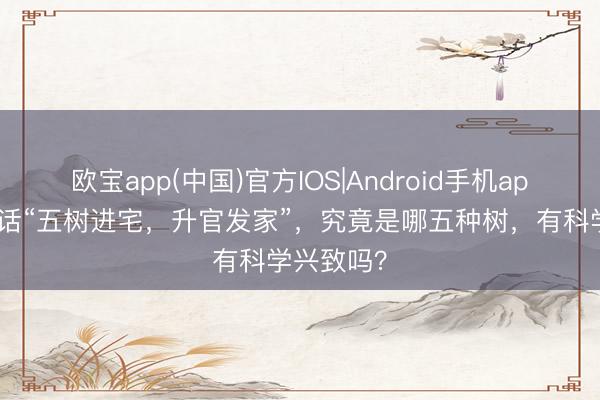 欧宝app(中国)官方IOS|Android手机app下载 老话“五树进宅，升官发家”，究竟是哪五种树，有科学兴致吗？