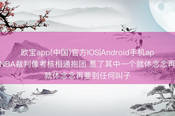欧宝app(中国)官方IOS|Android手机app下载 特纳：NBA裁判像考核相通抱团 惹了其中一个就休念念再要到任何叫子