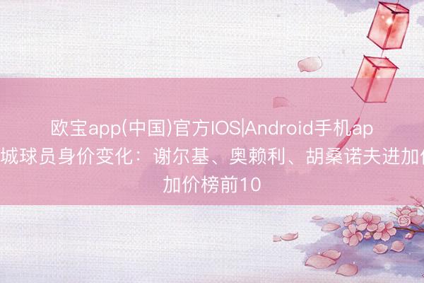 欧宝app(中国)官方IOS|Android手机app下载 曼城球员身价变化：谢尔基、奥赖利、胡桑诺夫进加价榜前10