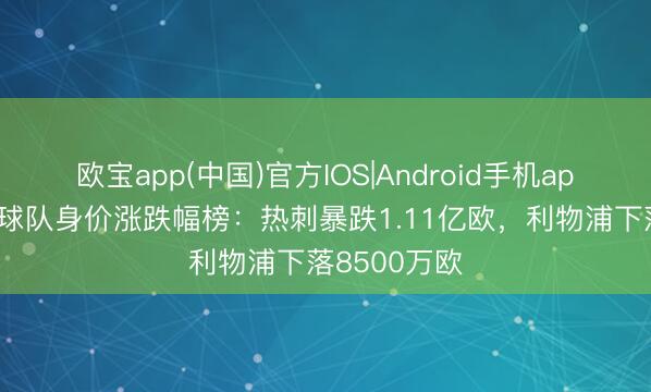 欧宝app(中国)官方IOS|Android手机app下载 英超球队身价涨跌幅榜:热刺暴跌1.11亿欧,利物浦下落8500万欧