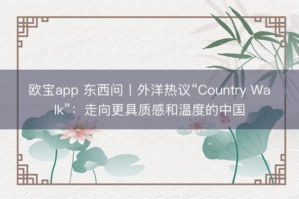 欧宝app 东西问丨外洋热议“Country Walk”：走向更具质感和温度的中国