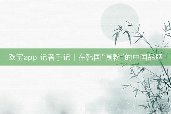欧宝app 记者手记丨在韩国“圈粉”的中国品牌