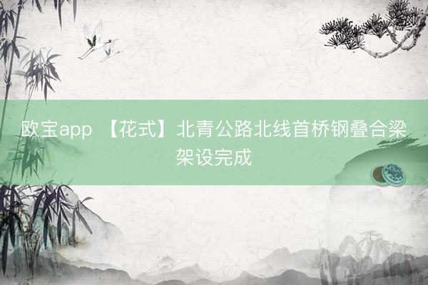 欧宝app 【花式】北青公路北线首桥钢叠合梁架设完成